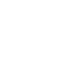 Payoneer